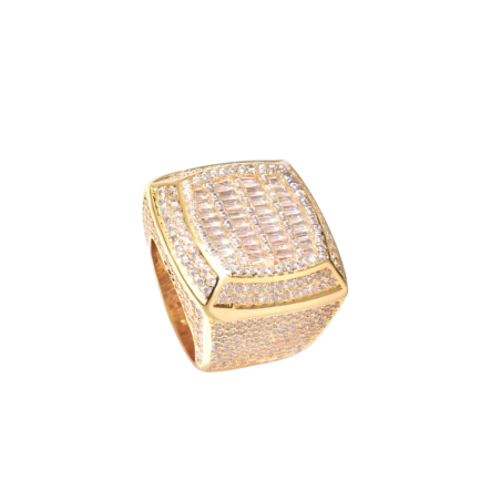 Men's Signet Ring "Golden Empire"