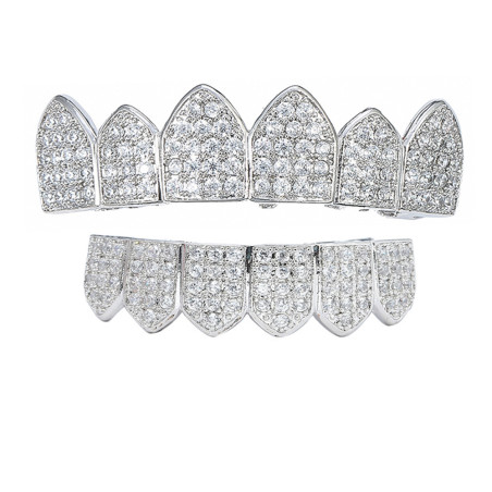 Silver and Diamond Tooth Ornament Grillz